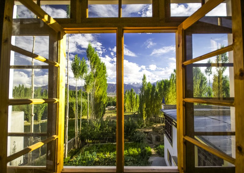Window Casing Repair in Littleton, CO